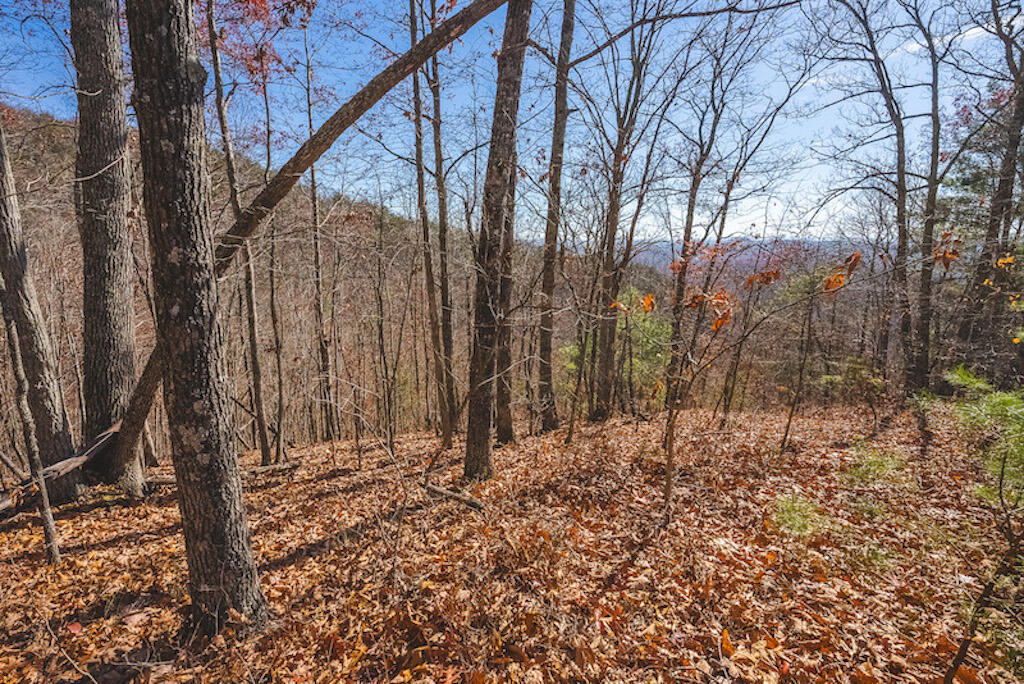 0 Pleasantview Road Austinville, VA 24312 - Photo 8 of 87 DSC03872