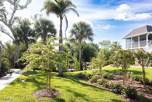 a view of a yard with swimming pool