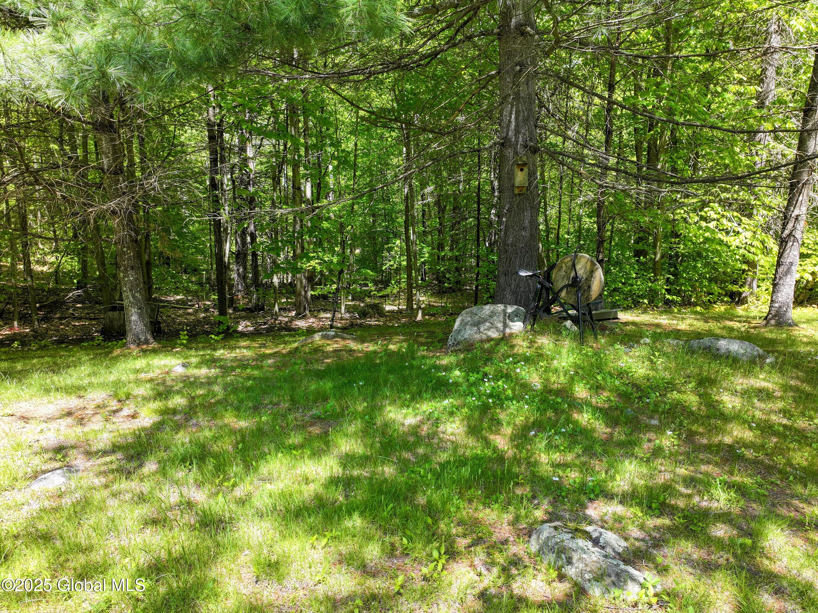 9325 Graphite Mountain Road Hague, NY 12836 - Photo 14 of 23 DJI_20250527124943_0394_D-2 (Copy)