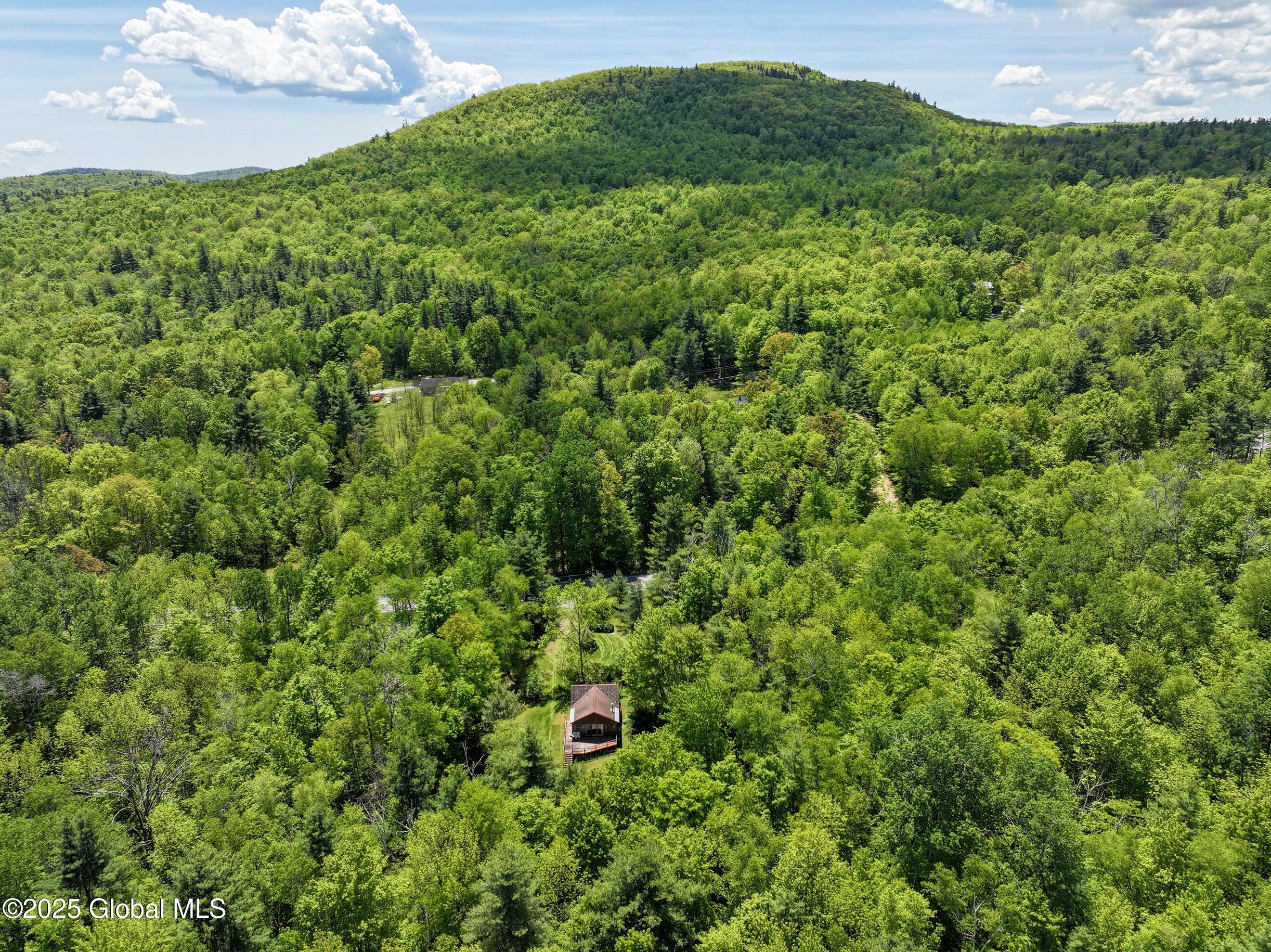 9325 Graphite Mountain Road Hague, NY 12836 - Photo 7 of 23 DJI_20250527124642_0386_D-2 (Copy)