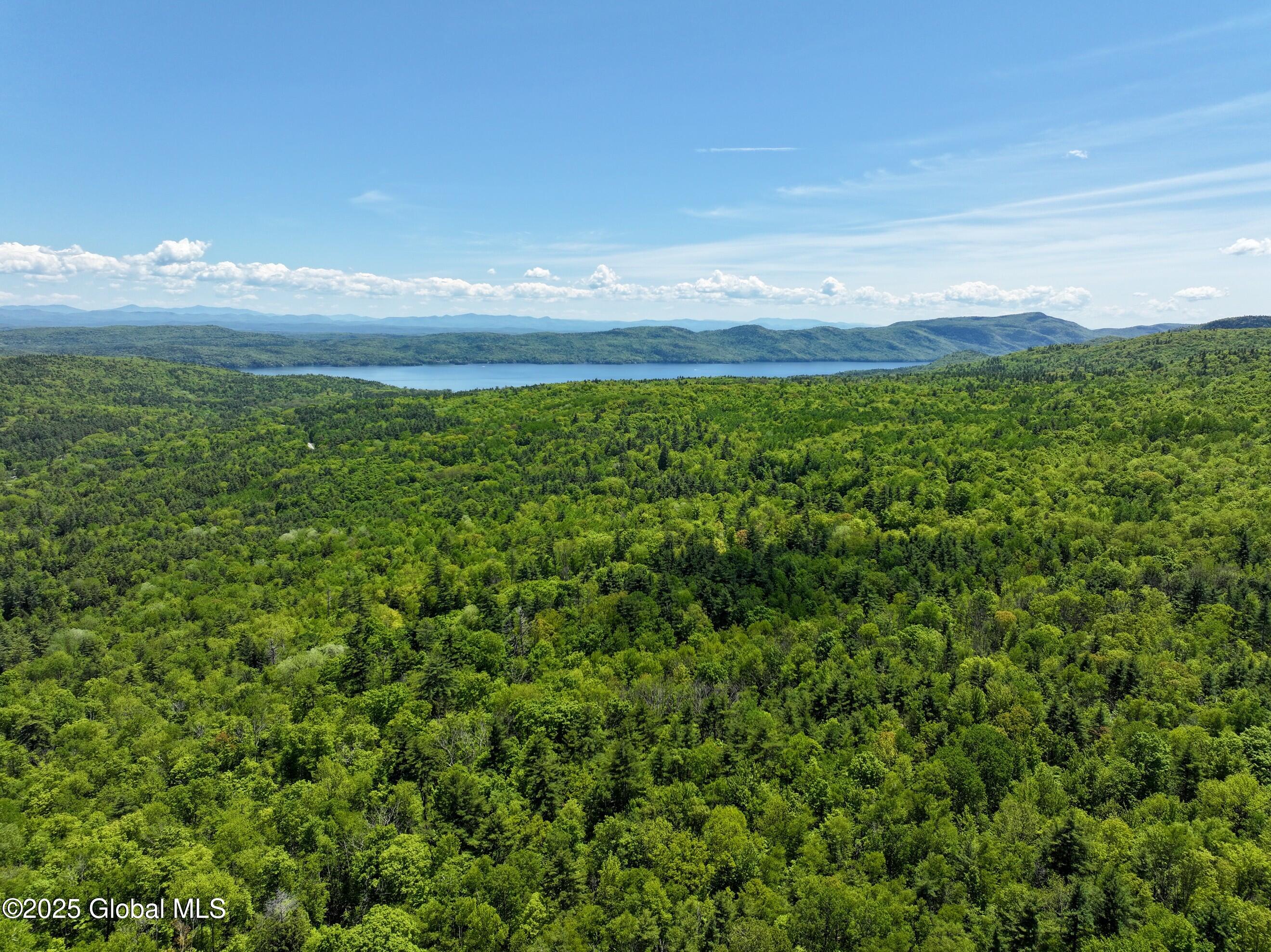 9325 Graphite Mountain Road Hague, NY 12836 - Photo 8 of 23 DJI_20250527124715_0388_D-2 (Copy)