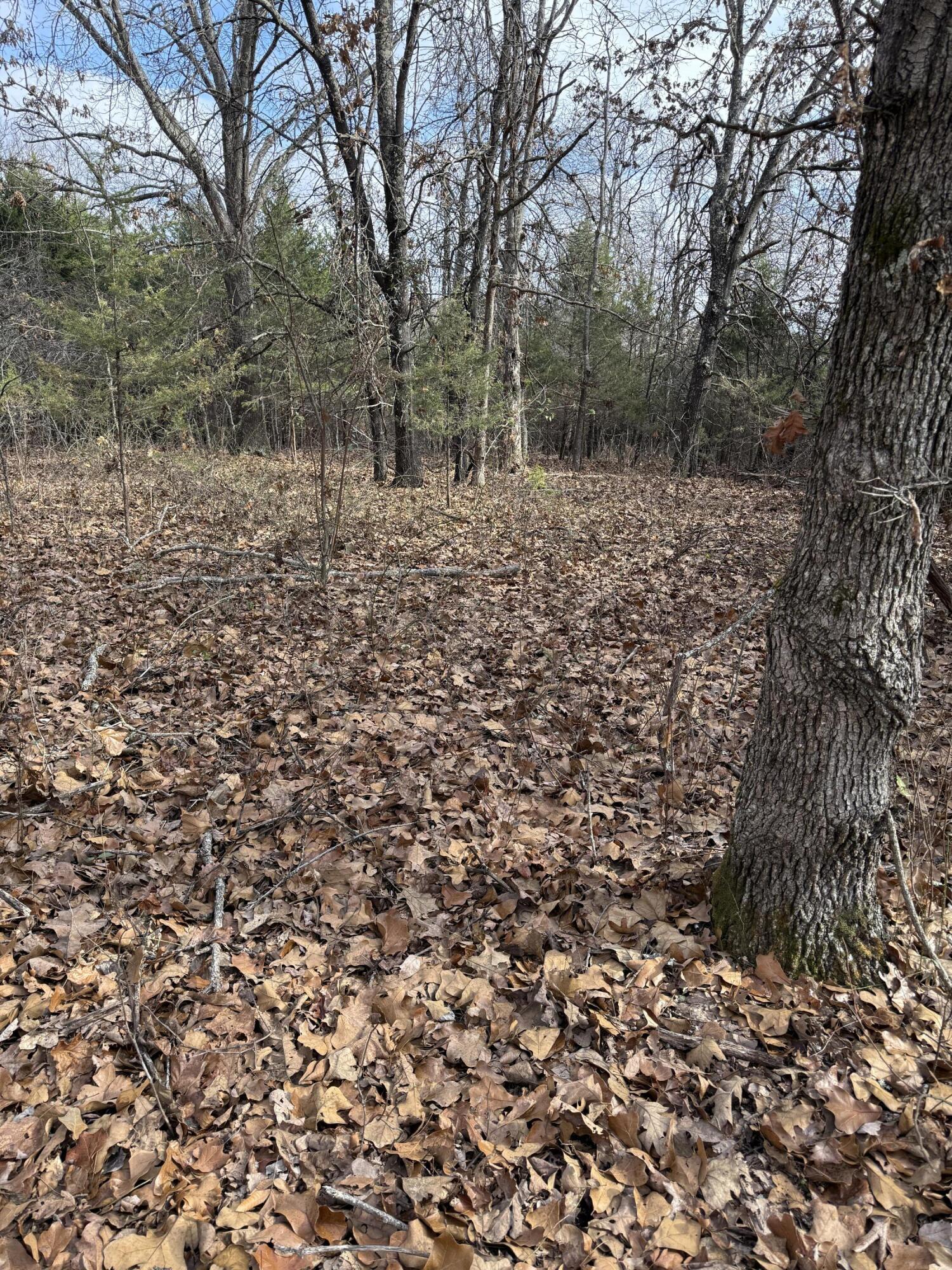 0 Varvel Road Willow Springs, MO 65793 - Photo 52 of 62 IMG_0783