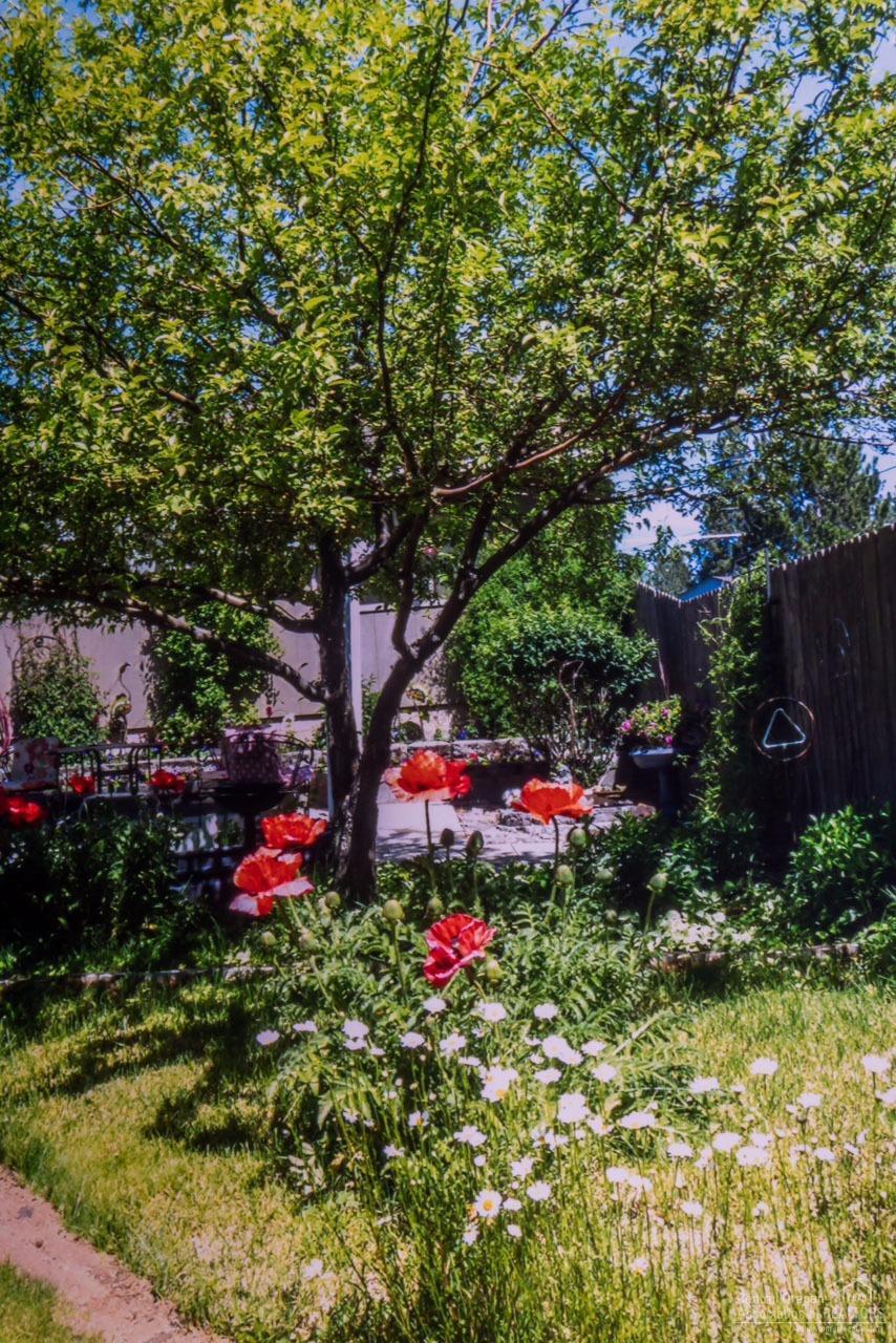 19633 Apache Road Bend, OR 97702 - Photo 20 of 22 Gallery Image 20