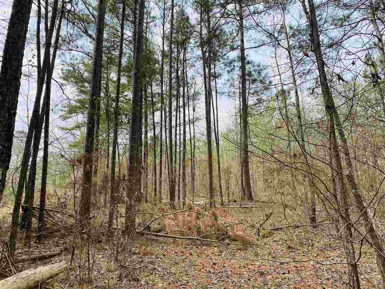 0 Bethel Road Kosciusko, MS 39090 - Photo 1 of 27 Photo 1