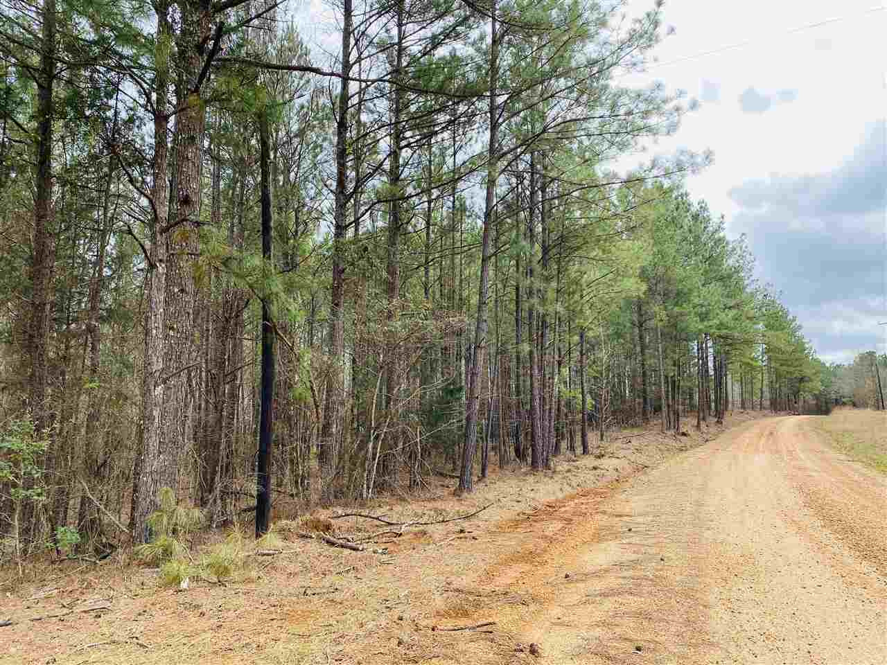 0 Bethel Road Kosciusko, MS 39090 - Photo 11 of 27 Photo 11