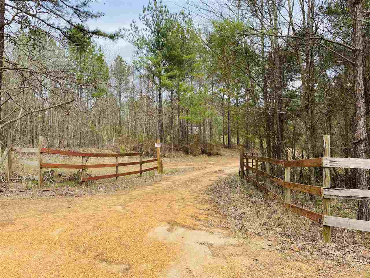 0 Bethel Road Kosciusko, MS 39090 - Photo 12 of 27 Photo 12