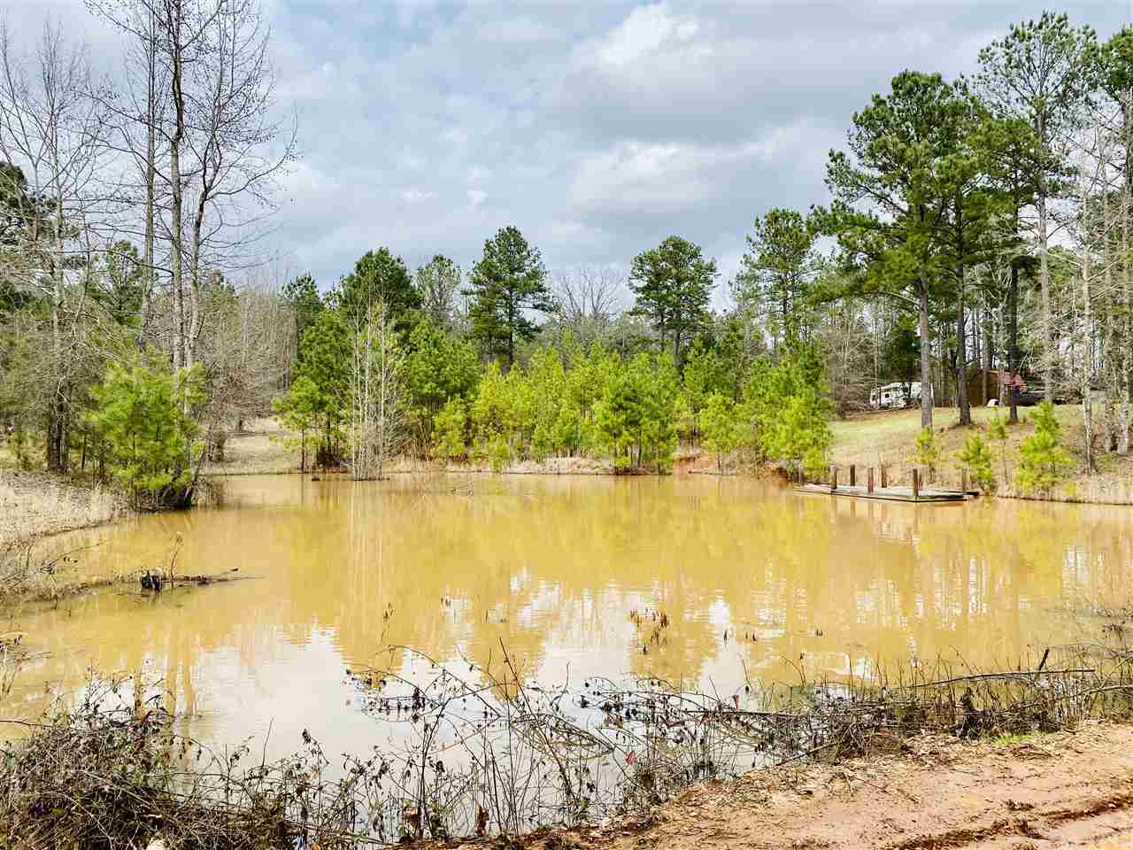 0 Bethel Road Kosciusko, MS 39090 - Photo 15 of 27 Photo 15