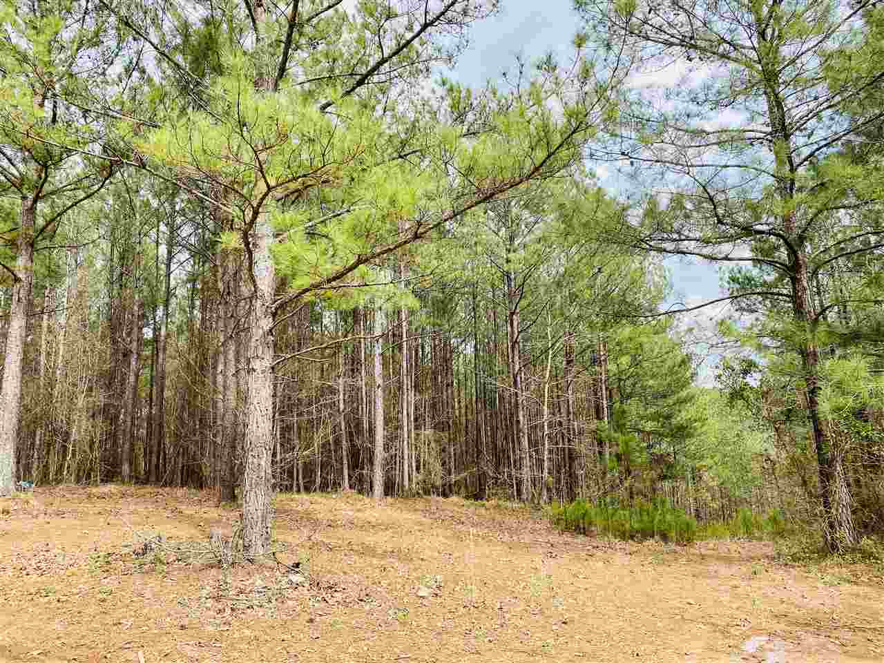 0 Bethel Road Kosciusko, MS 39090 - Photo 16 of 27 Photo 16