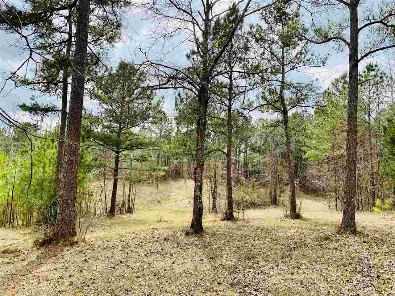 0 Bethel Road Kosciusko, MS 39090 - Photo 20 of 27 Photo 20