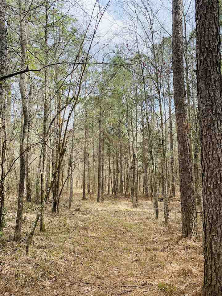 0 Bethel Road Kosciusko, MS 39090 - Photo 2 of 27 Photo 2