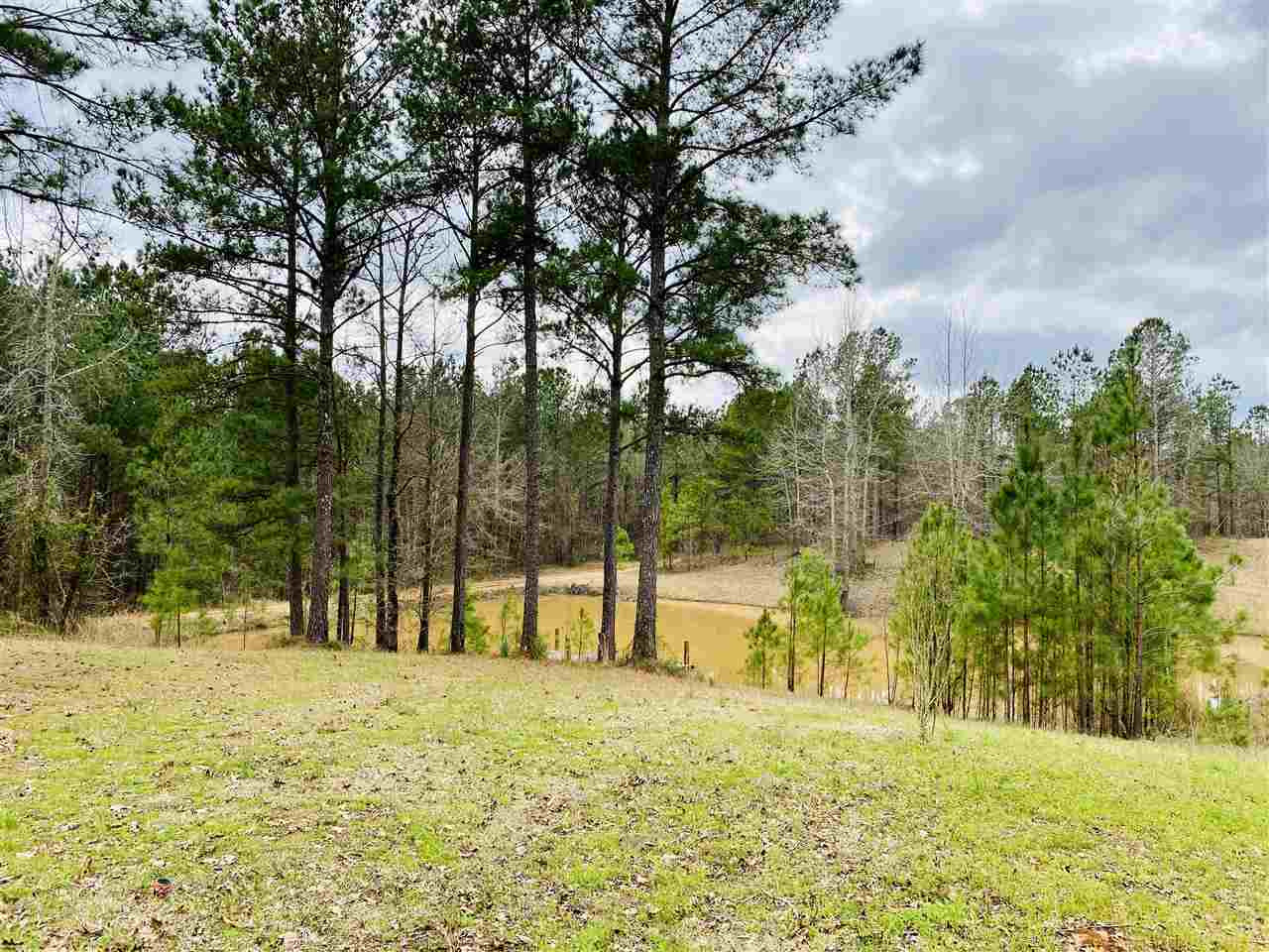 0 Bethel Road Kosciusko, MS 39090 - Photo 25 of 27 Photo 25
