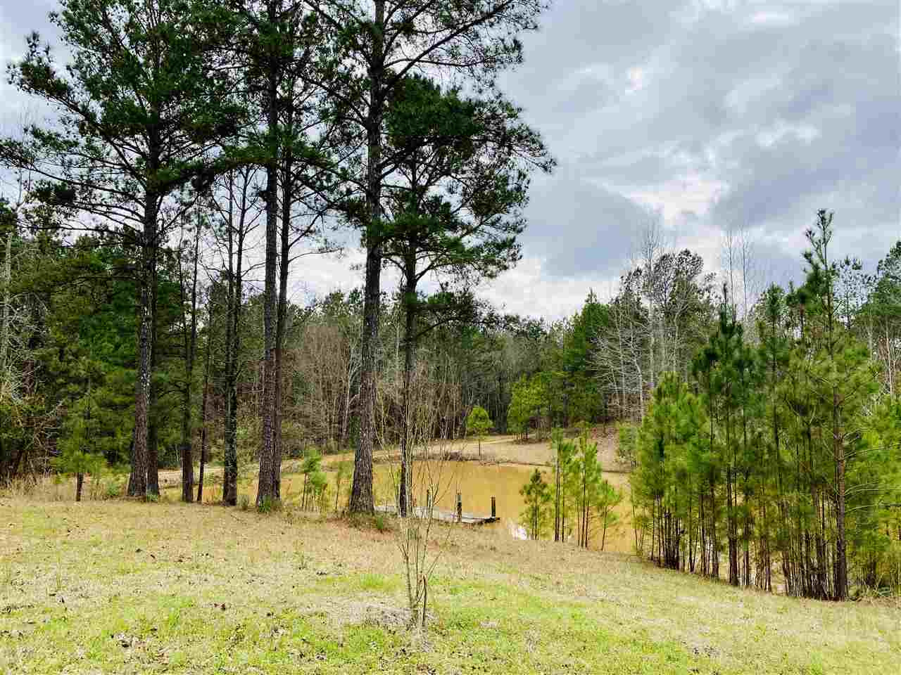 0 Bethel Road Kosciusko, MS 39090 - Photo 26 of 27 Photo 26