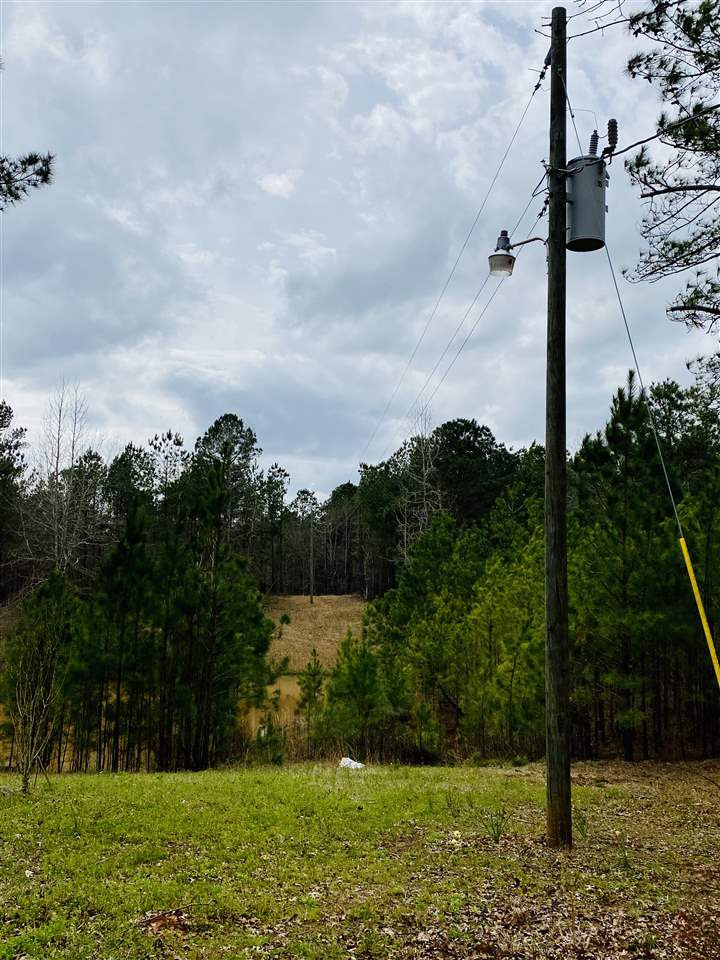 0 Bethel Road Kosciusko, MS 39090 - Photo 27 of 27 Photo 27