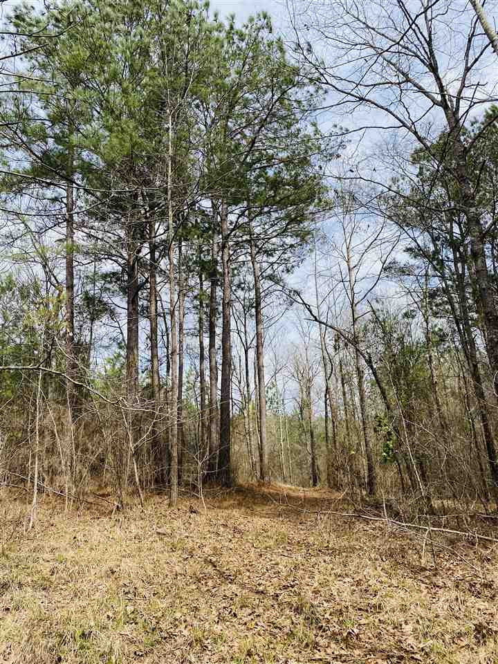 0 Bethel Road Kosciusko, MS 39090 - Photo 4 of 27 Photo 4