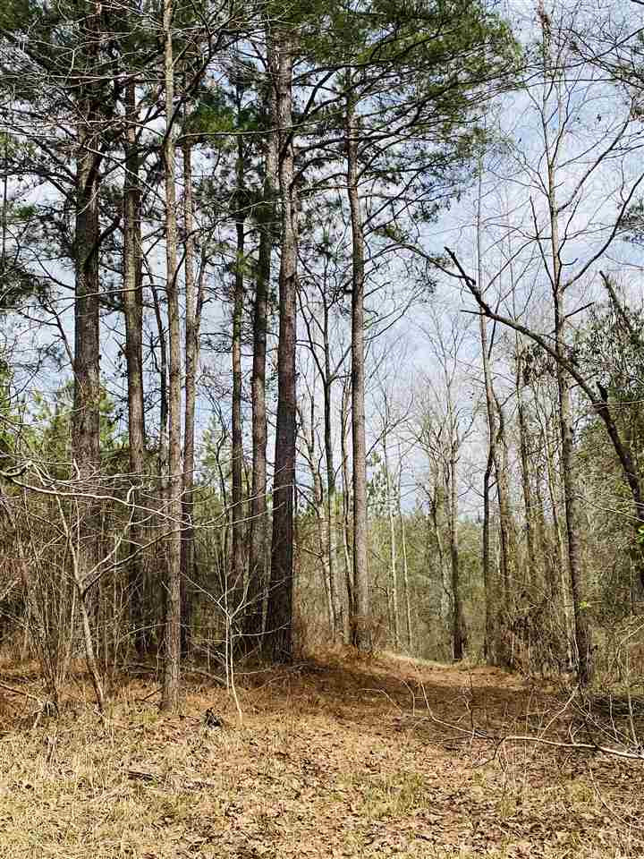0 Bethel Road Kosciusko, MS 39090 - Photo 5 of 27 Photo 5