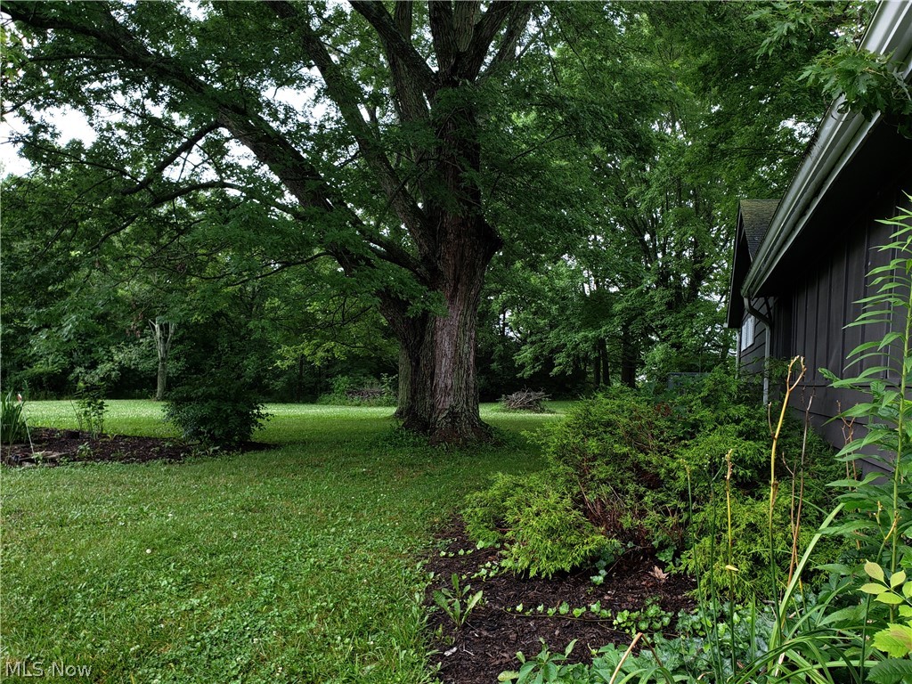 4016 State Road Medina, OH 44256 - Photo 4 of 18