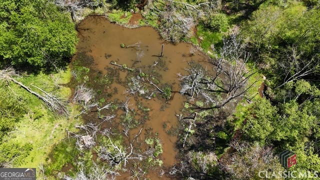 0 Moore Road Elberton, GA 30635 - Photo 24 of 67