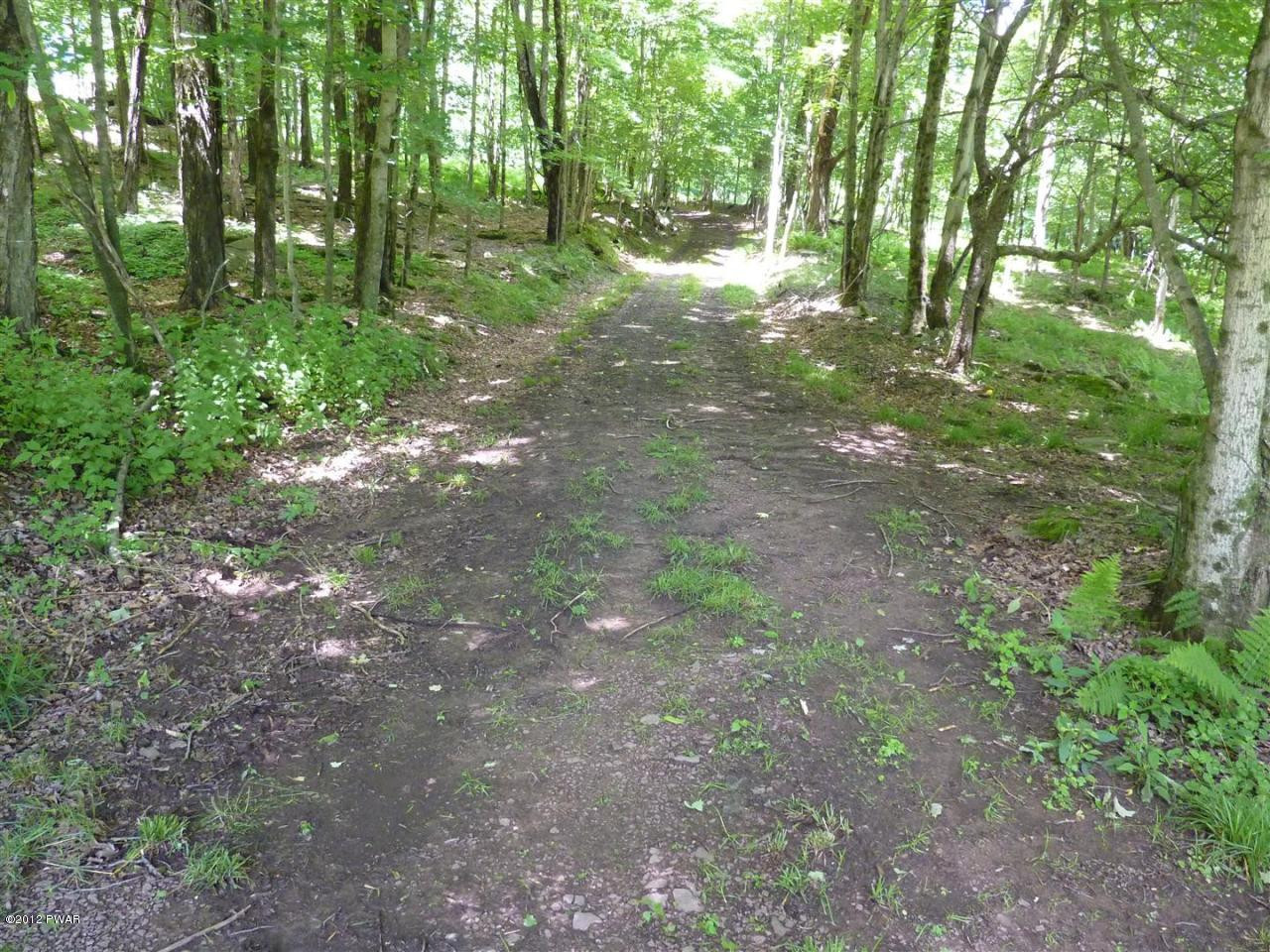 Lot 2 Layton Road Equinunk, PA 18417 - Photo 9 of 17
