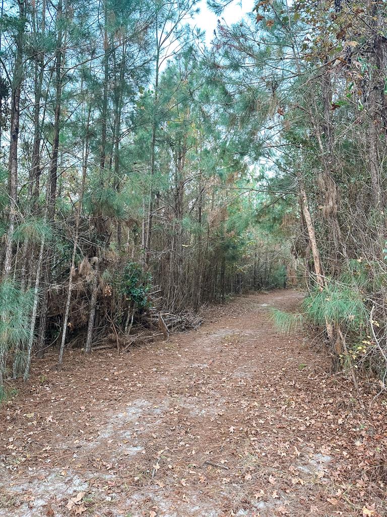 0 Porter Road Lake Park, GA 31636 - Photo 5 of 33 Gallery Image 5