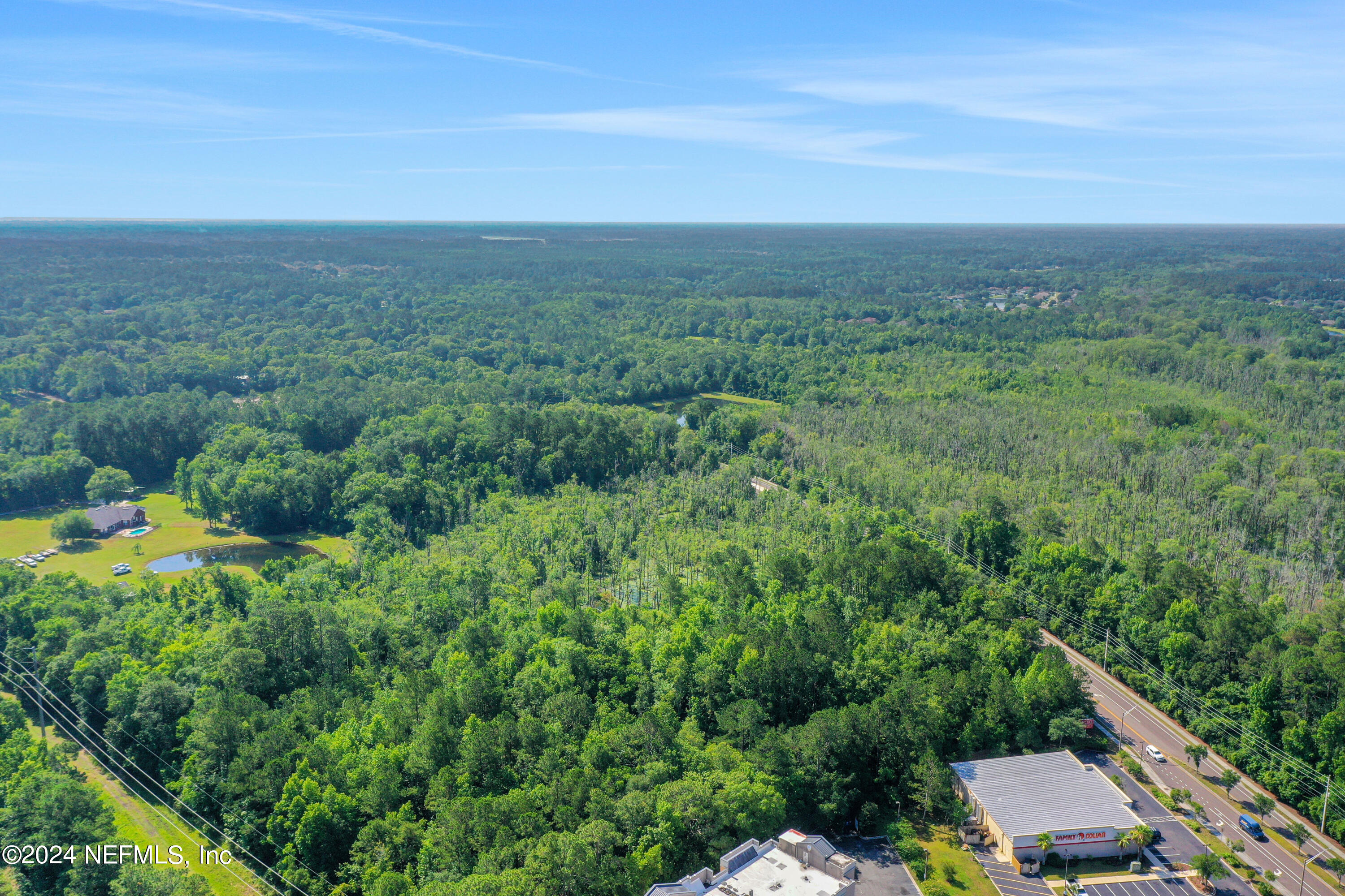 10745 Crystal Springs Road Jacksonville, FL 32221 - Photo 5 of 10 DJI_0694 (1)