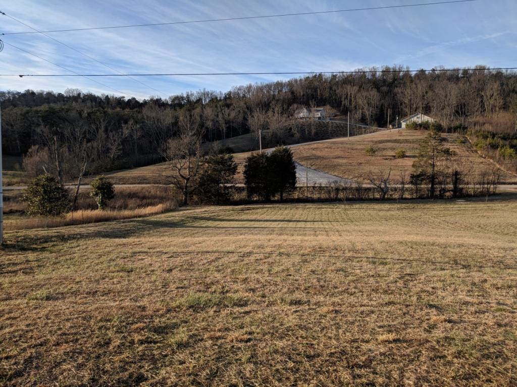 2015 Shakerag Road Greeneville, TN 37743 - Photo 21 of 24 Front yard continued