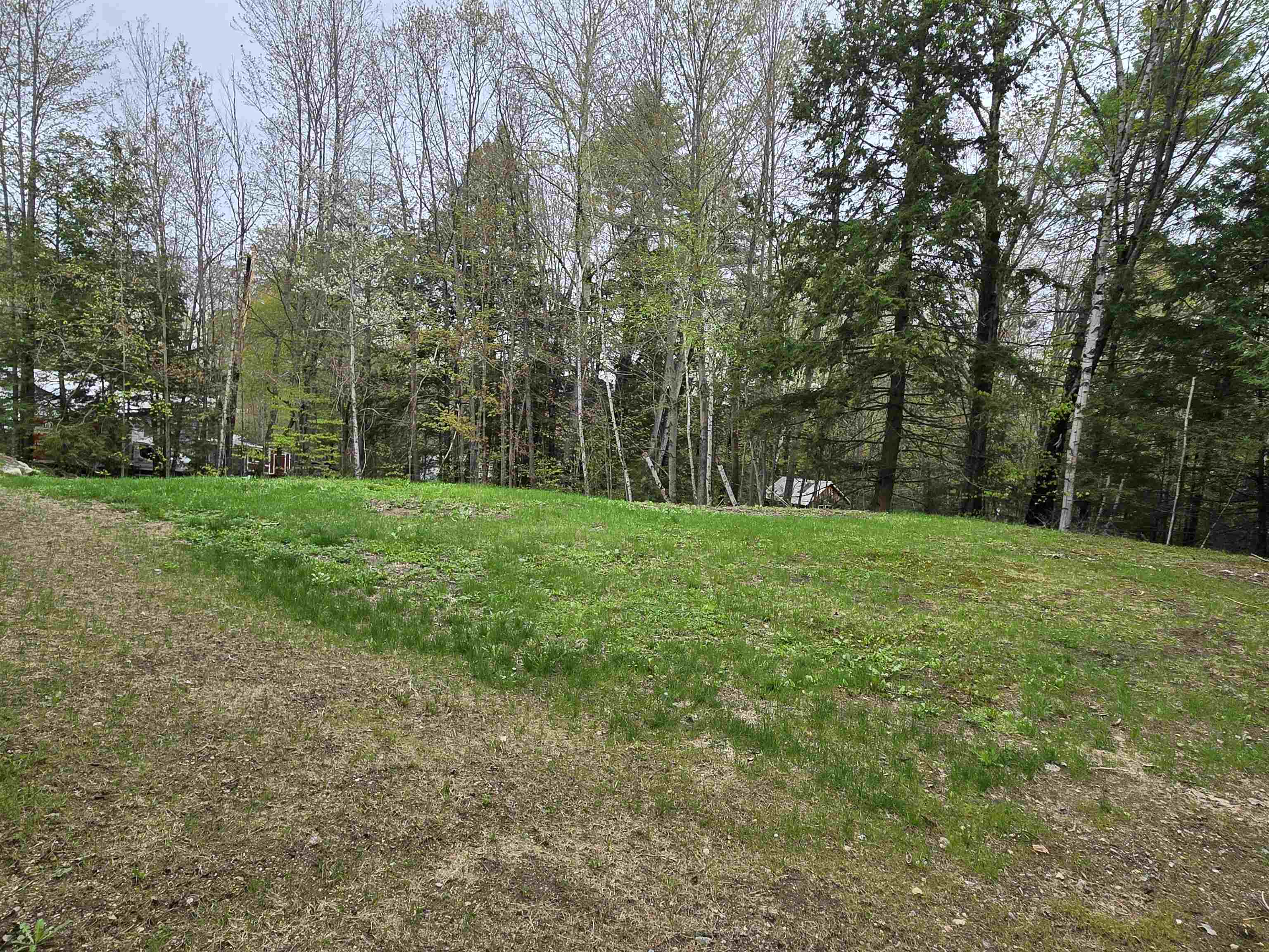 191 Allard Hill Road Madison, NH 03818 - Photo 8 of 22