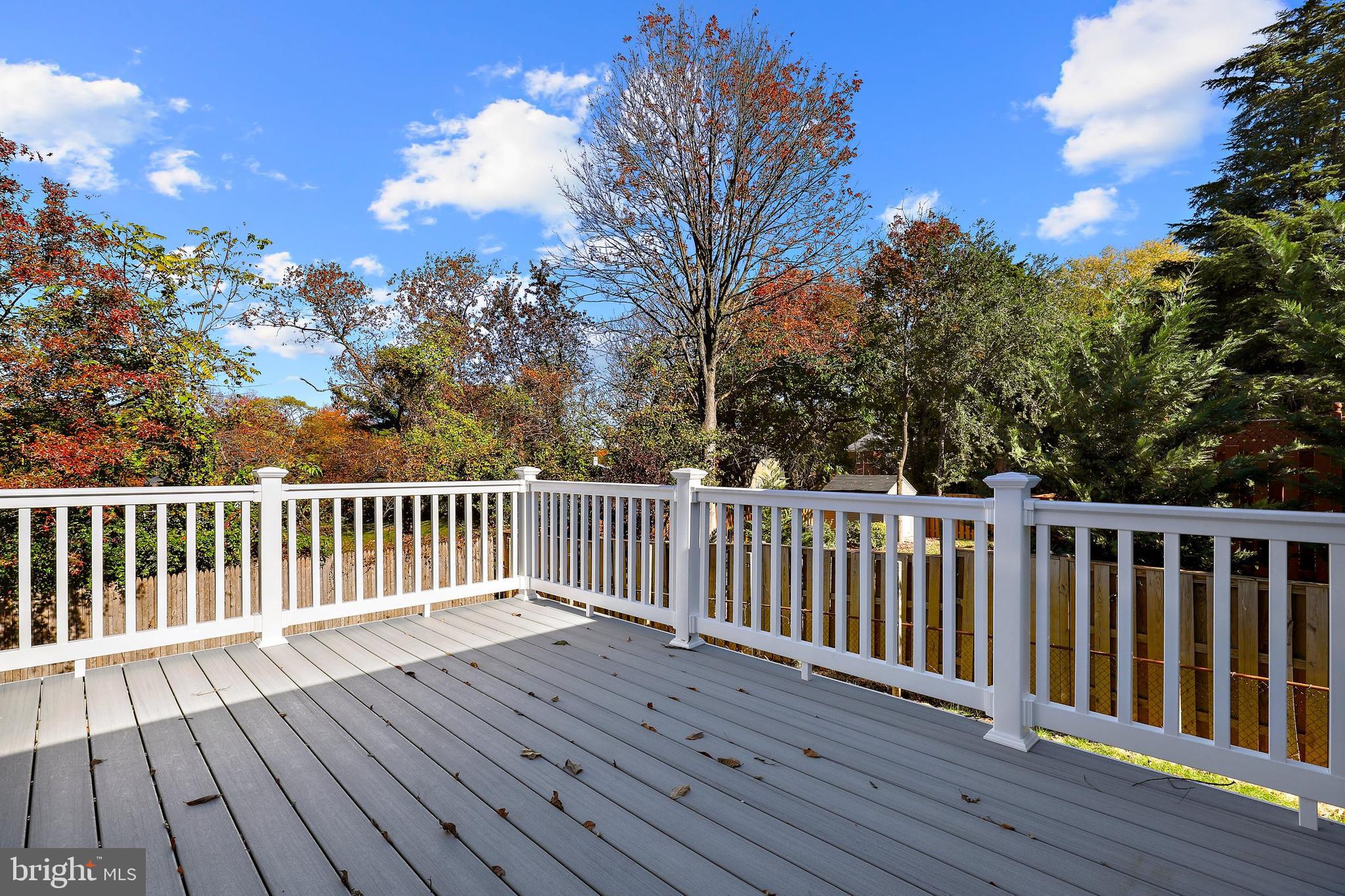 2953 Viewpoint Road Alexandria, VA 22314 - Photo 45 of 52