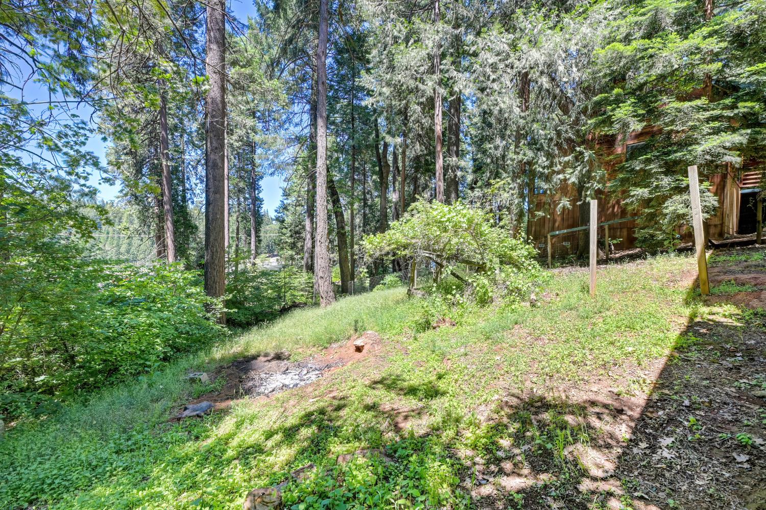 6237 Drop Off Road Pollock Pines, CA 95726 - Photo 59 of 67