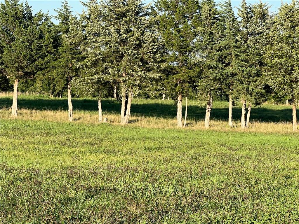 80 East 1600 Road Baldwin City, KS 66006 - Photo 24 of 33