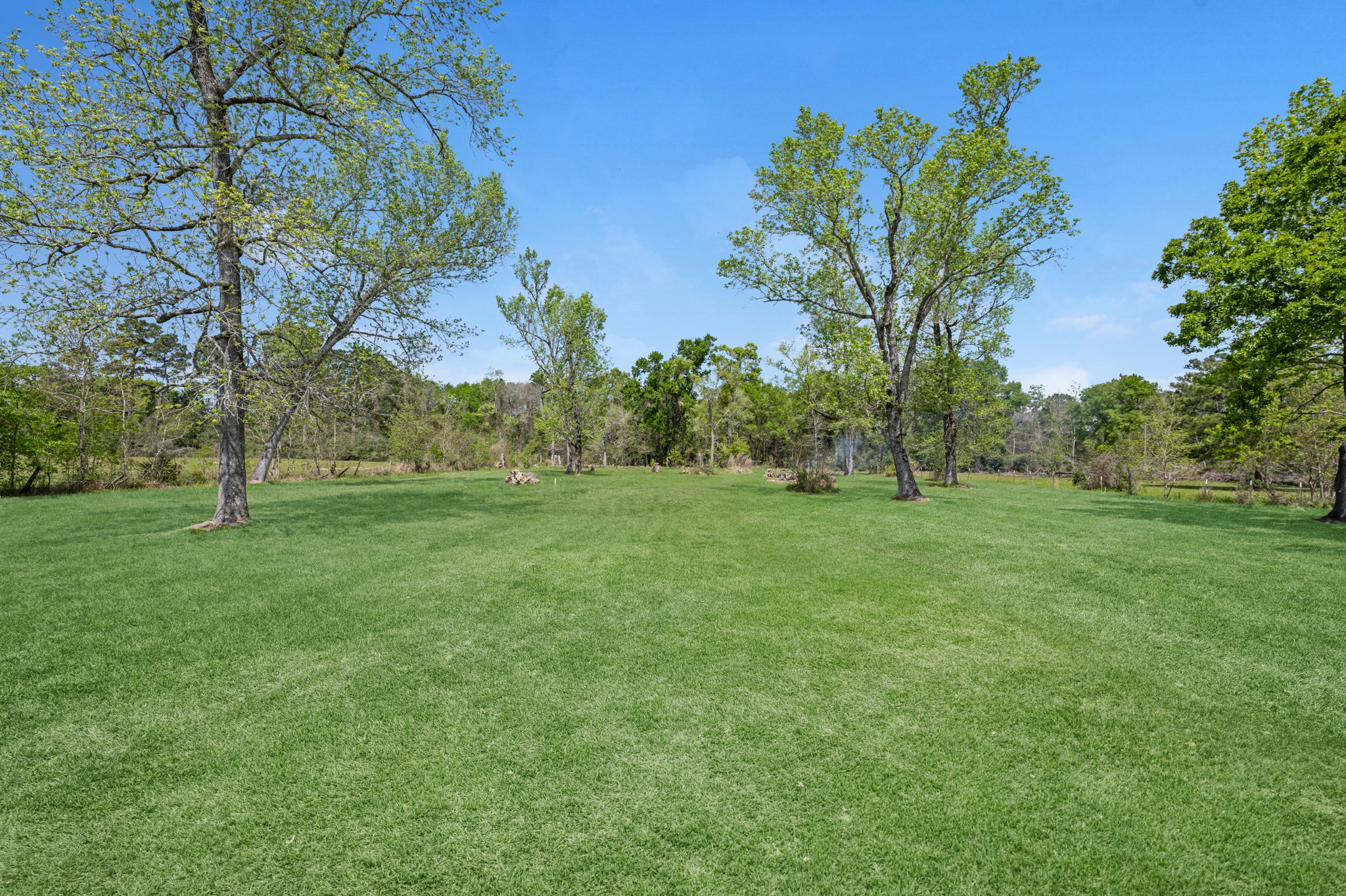 16511 Edgefield Lane Conroe, TX 77302 - Photo 37 of 42 a view of garden