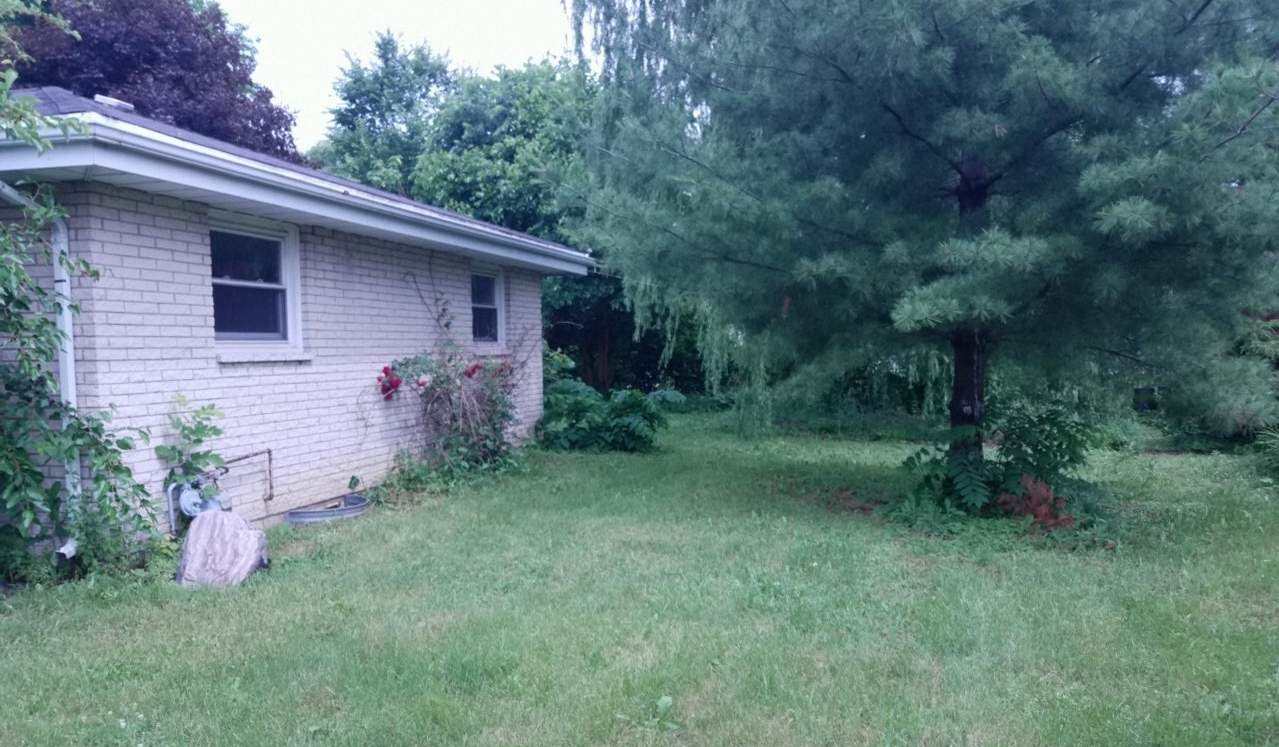 724 Windsor Road Loves Park, IL 61111 - Photo 11 of 11 a view of a backyard with plants and large trees