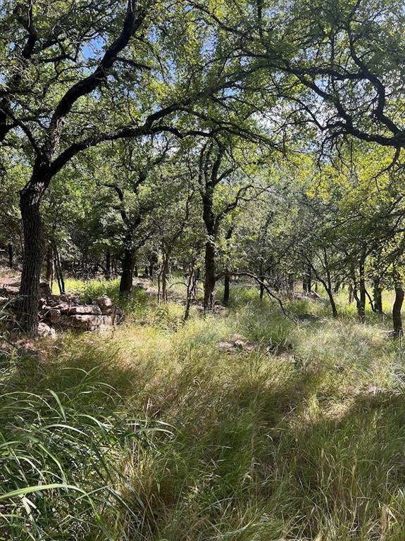 927 Cutter Circle May, TX 76857 - Photo 6 of 23 Heavily wooded lot featuring mature trees and natural ground cover