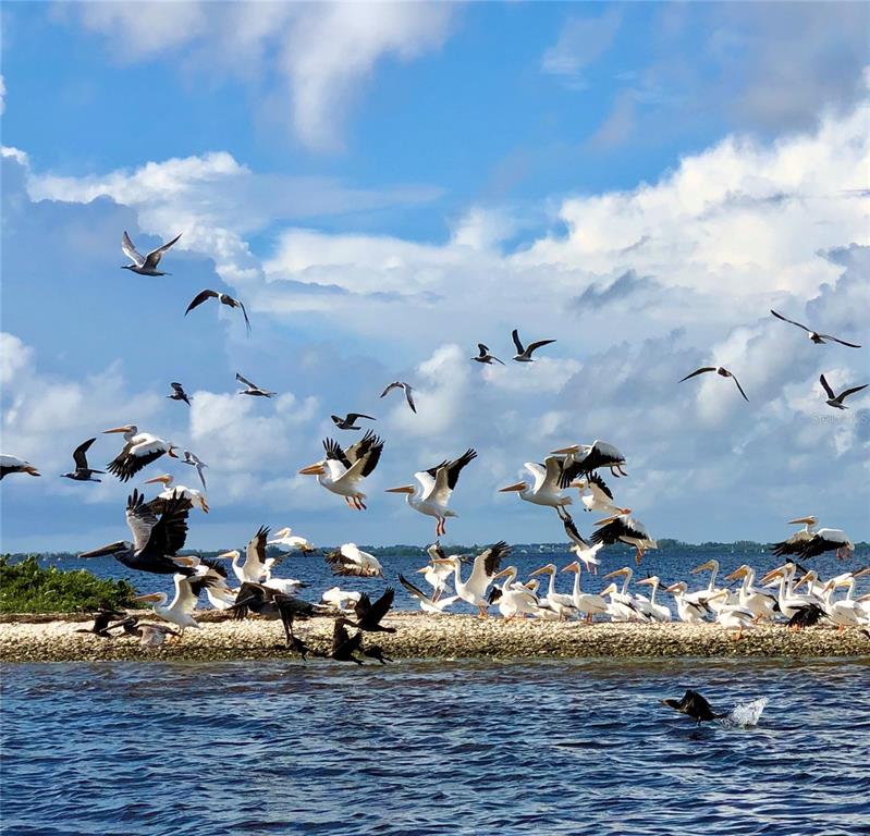 8146 Little Gasparilla Placida, FL 33946 - Photo 14 of 16