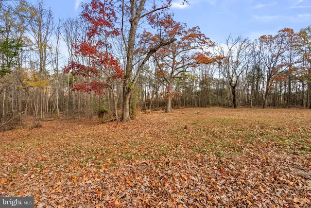 a view of outdoor space with trees