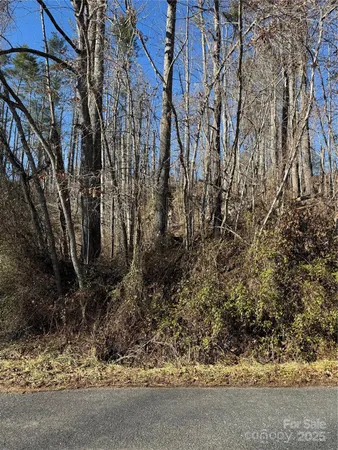 a backyard of a house with a trees