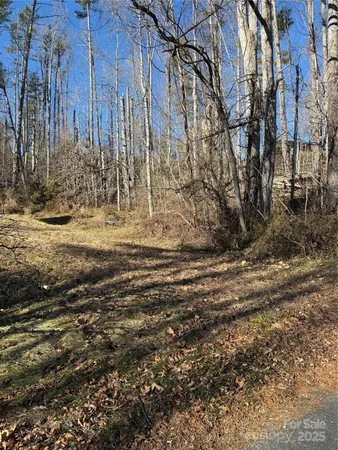 a view of a yard with wooden fence