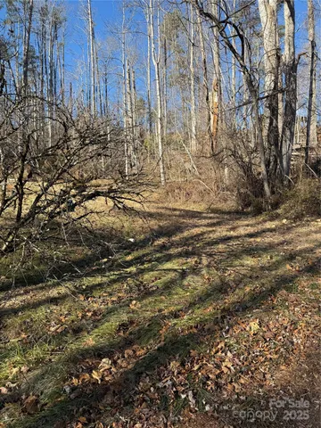 a view of outdoor space with yard and trees