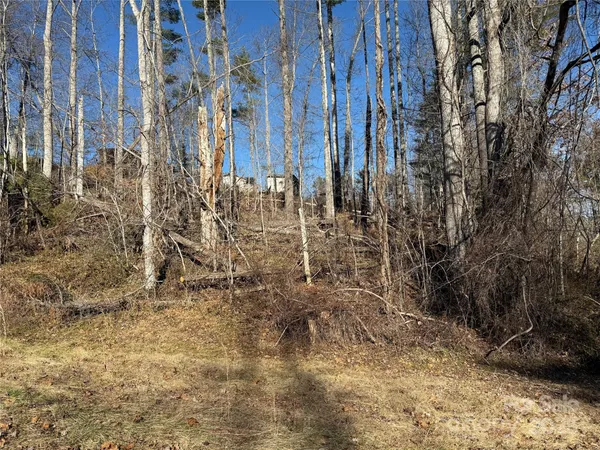 a view of a pathway with a yard