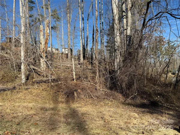 a view of a pathway with a yard