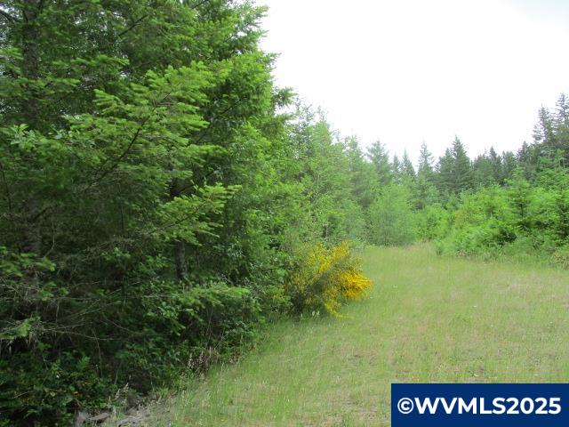 0 Gruber South Road Estacada, OR 97023 - Photo 9 of 30