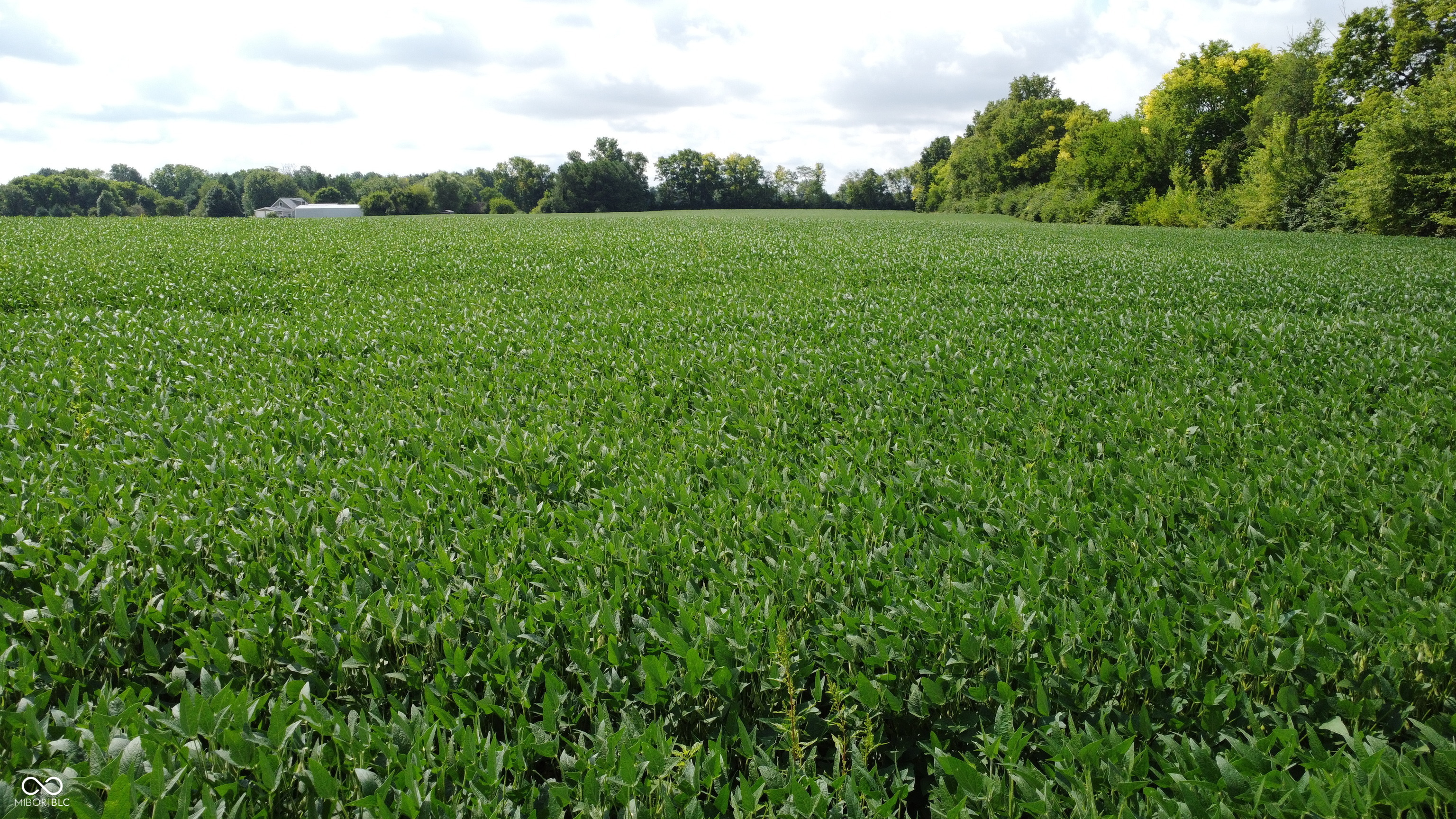0 East Cross Street Anderson, IN 46013 - Photo 5 of 14