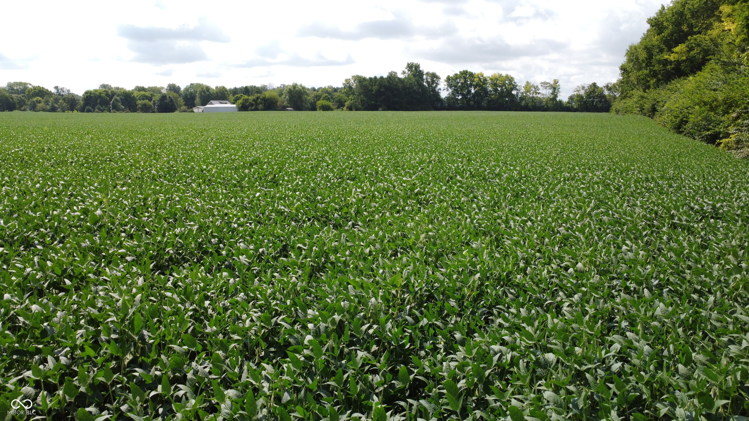 0 East Cross Street Anderson, IN 46013 - Photo 6 of 14