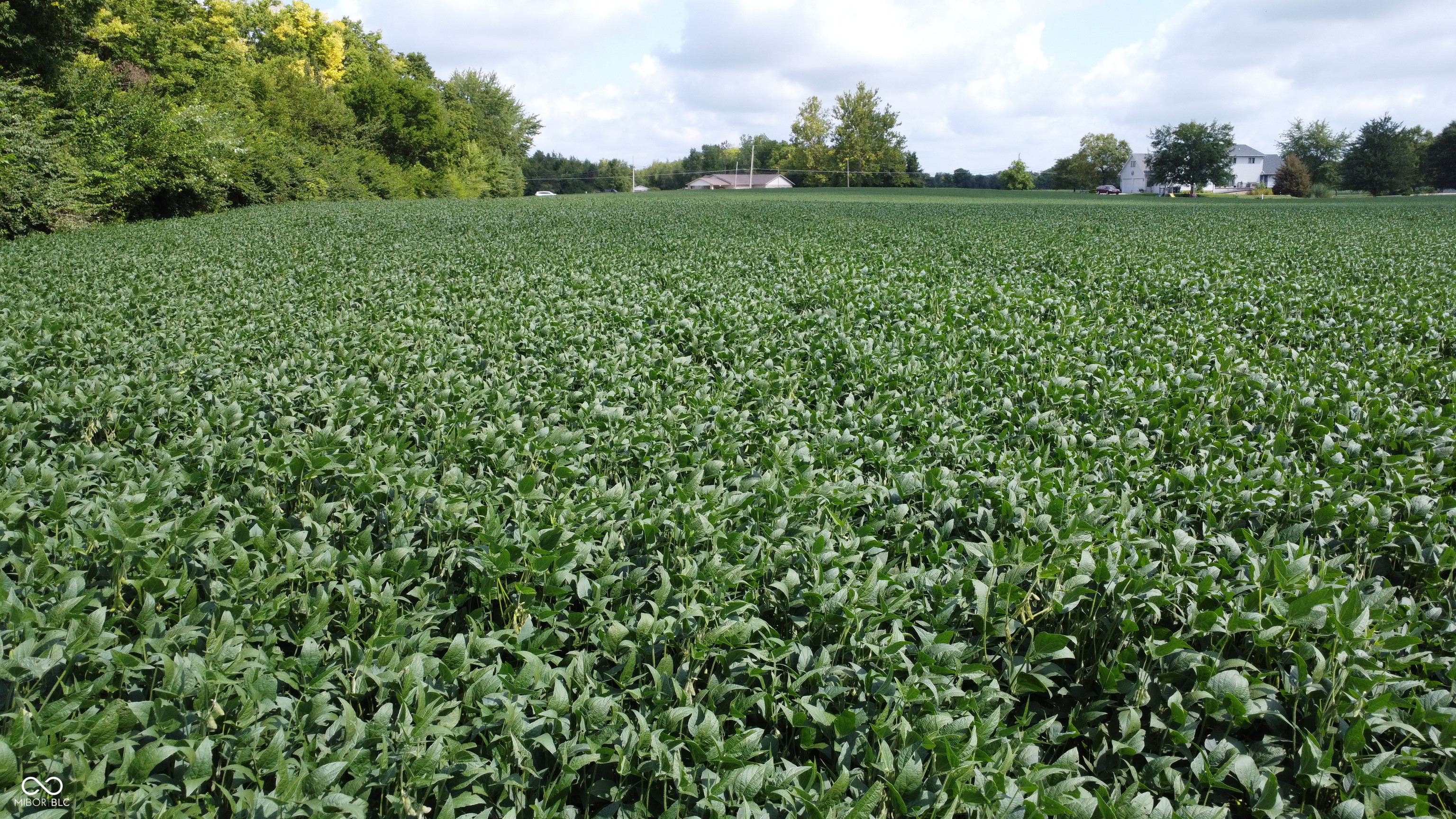 0 East Cross Street Anderson, IN 46013 - Photo 8 of 14