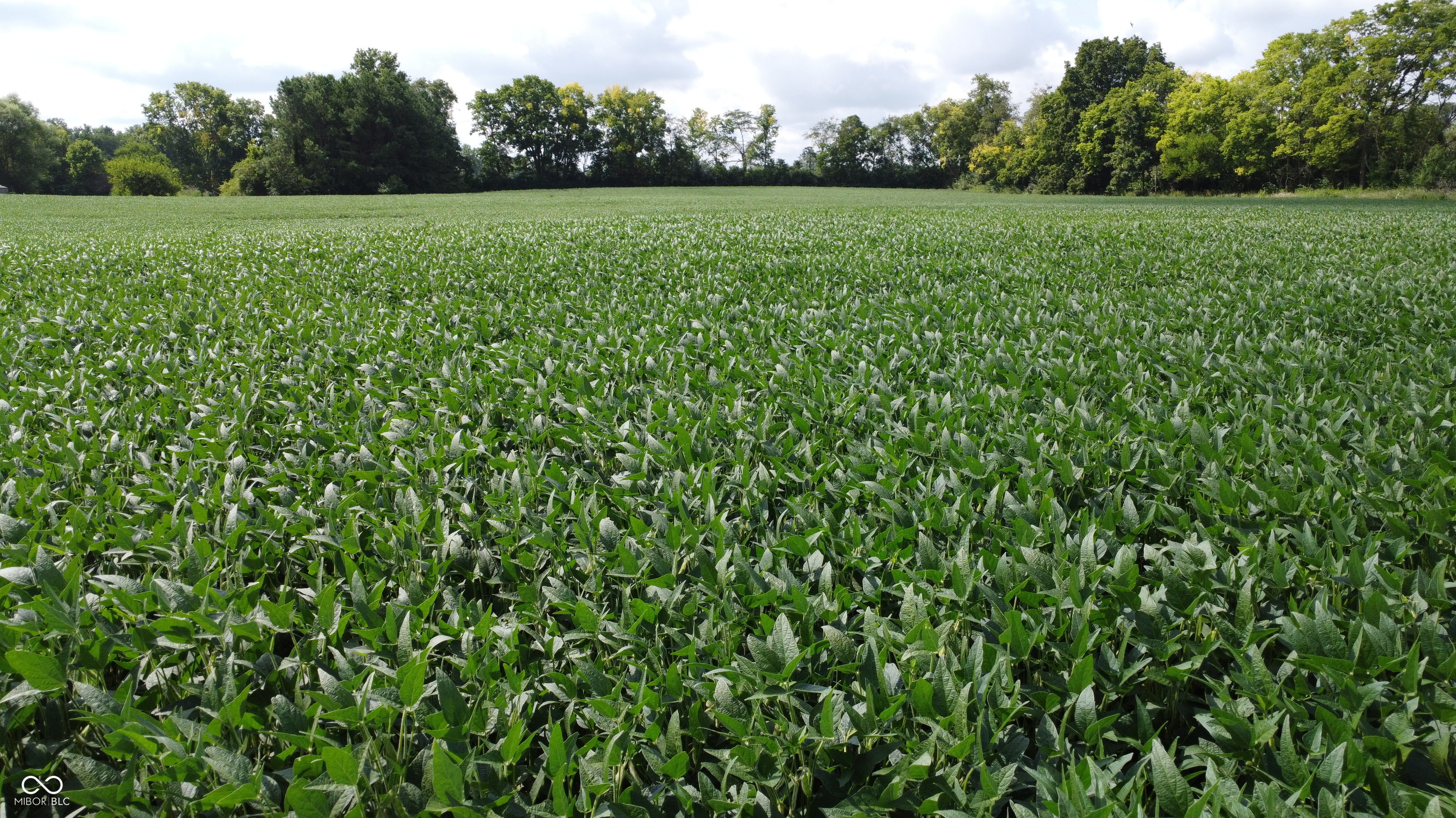 0 East Cross Street Anderson, IN 46013 - Photo 10 of 14