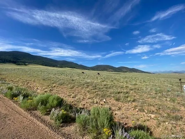 a view of a sky from a yard