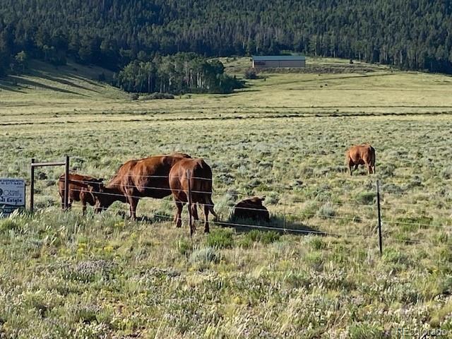 Eagles Gate Road Westcliffe, CO 81252 - Photo 9 of 20 a view of swimming pool with lawn chairs and plants