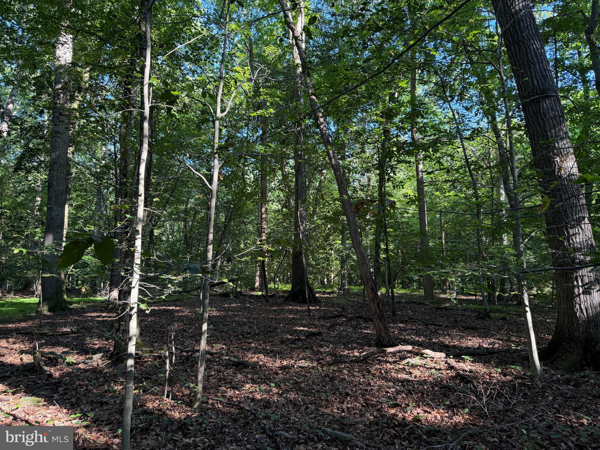 0 Rock Springs Road Conowingo, MD 21918 - Photo 57 of 79