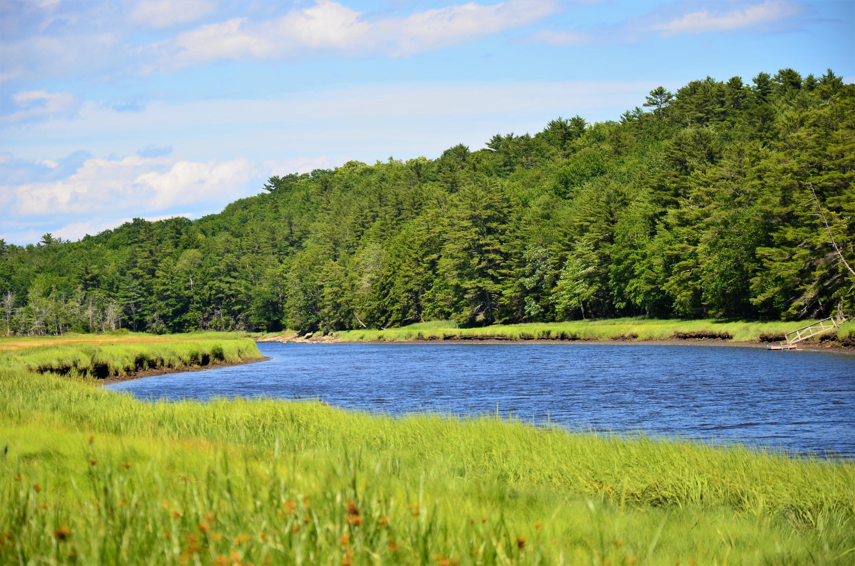 180 Golden Ridge Road Alna, ME 04535 - Photo 38 of 39 180GoldenRidge-Alna-DSC-1