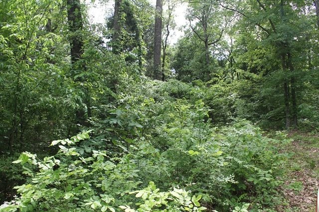 0 Shakertown Road Rockfield, KY 42274 - Photo 3 of 5