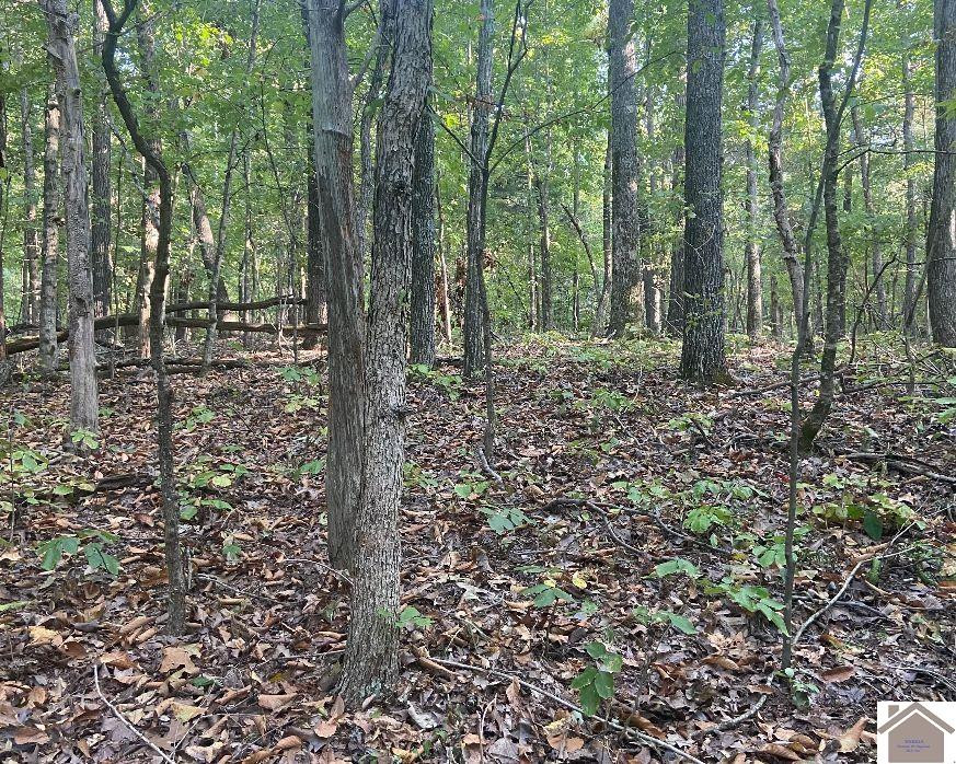 0 Pleasant Hill Road Princeton, KY 42445 - Photo 13 of 23 Photo 14